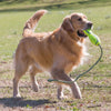 Kong Airdog Fetch Stick With Rope - Large - Dog Toy