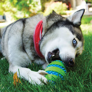 Kong Squeezz Goomz Ball - Xlarge - Dog Toy