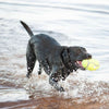 Kong Airdog Squeaker Football - Large - Dog Toy