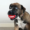 Kong Signature Sport Balls - Large - Dog Toy
