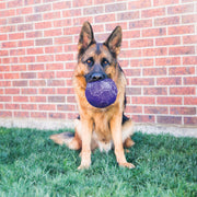 Kong Flexball - Medium/Large - Dog Toy