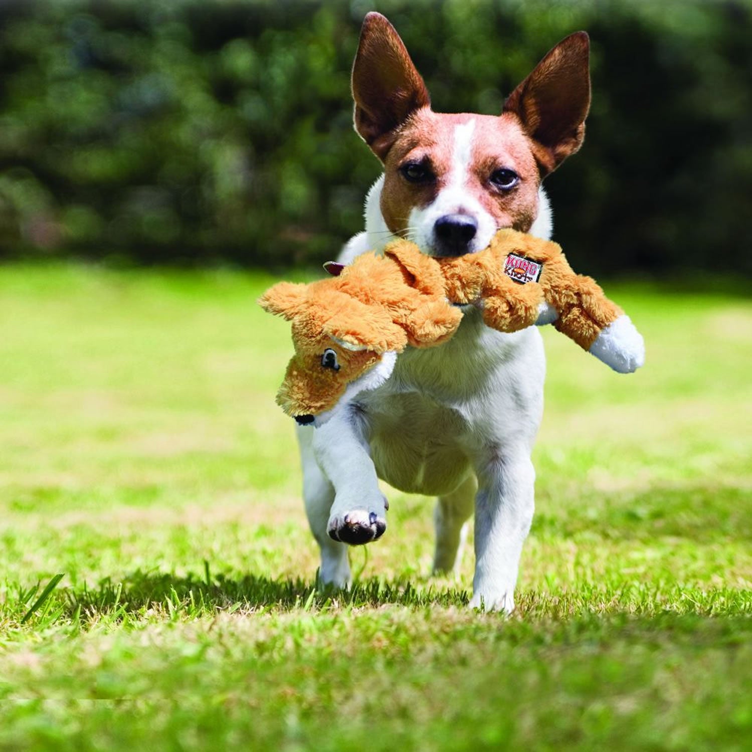 Kong Scrunch Knots Fox - Medium/Large - Dog Toy