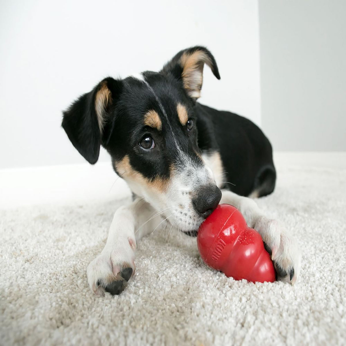 Kong Classic - Large - Red - Dog Toy