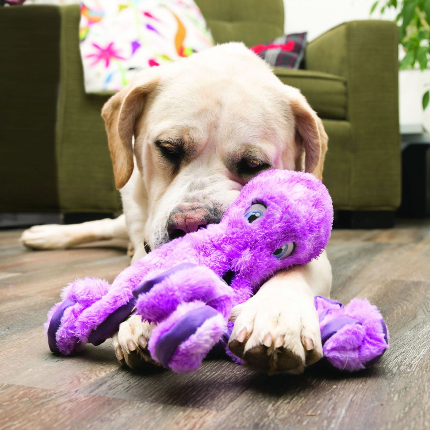Kong Softseas Octopus - Large - Dog Toy