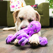 Kong Softseas Octopus - Large - Dog Toy