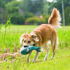Kong Cuteseas Whale - Large - Dog Toy