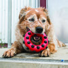 Kong Dotz Circle - Large - Dog Toy