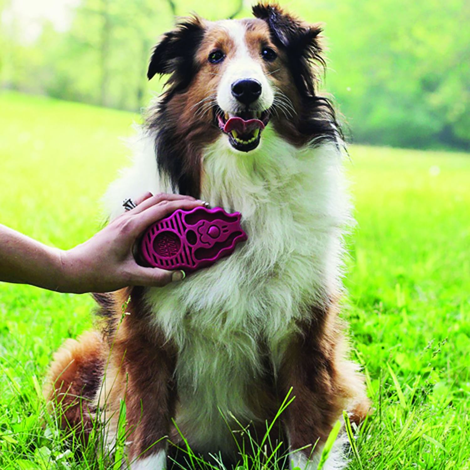 Kong Zoomgroom - Large - Raspberry - Dog Toy