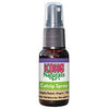 Kong Catnip Spray - Cat Toy