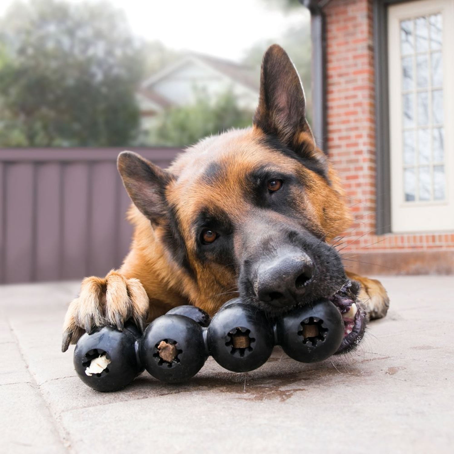 Kong Extreme Goodie Ribbon - Medium - Black - Dog Toy