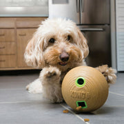 Kong Bamboo Feeder Ball - Medium - Dog Toy