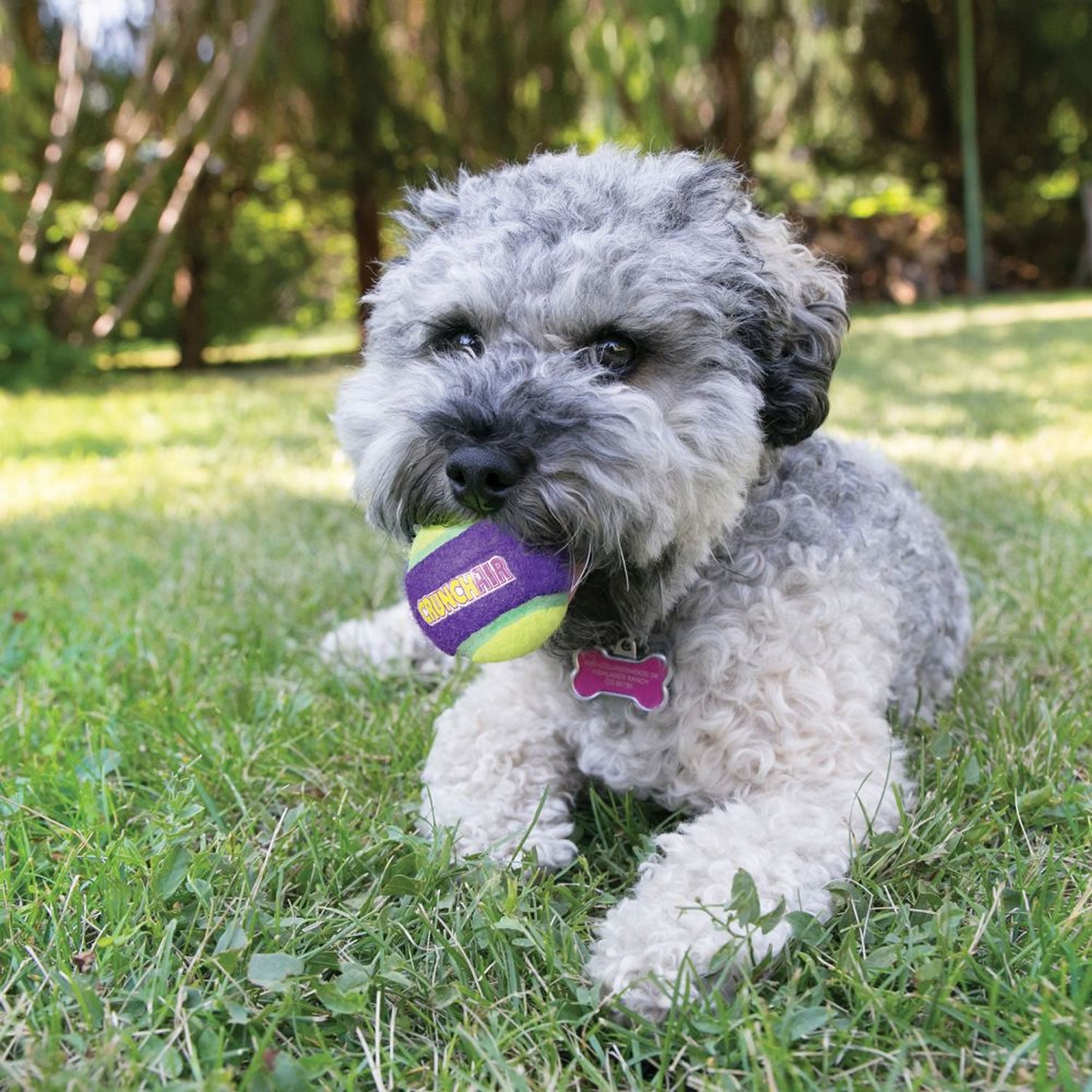 Kong Crunchair Balls - Medium - Dog Toy