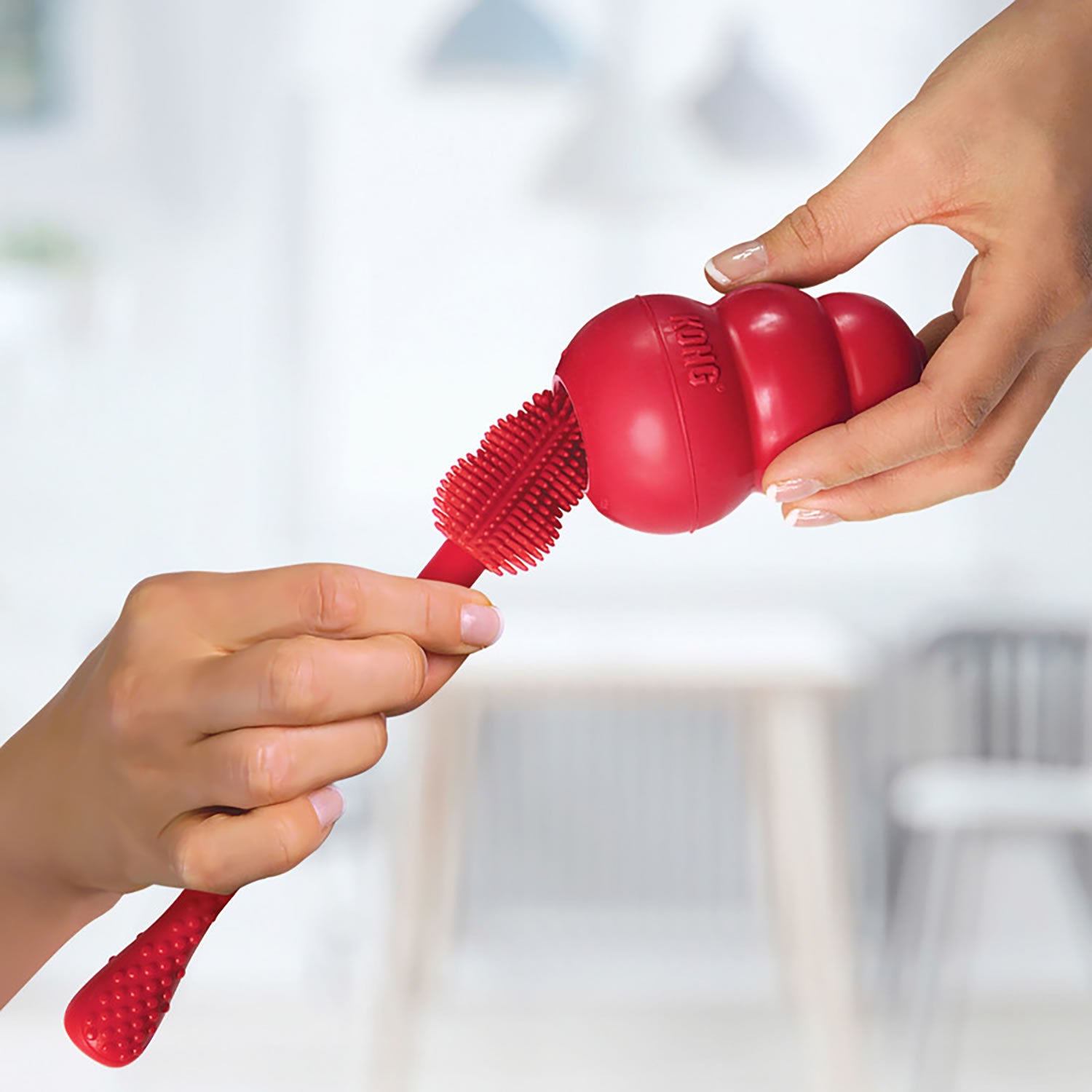 Kong Cleaning Brush - Dog Toy