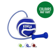 Kong Wavz Bunjiball - Medium - Assorted - Dog Toy