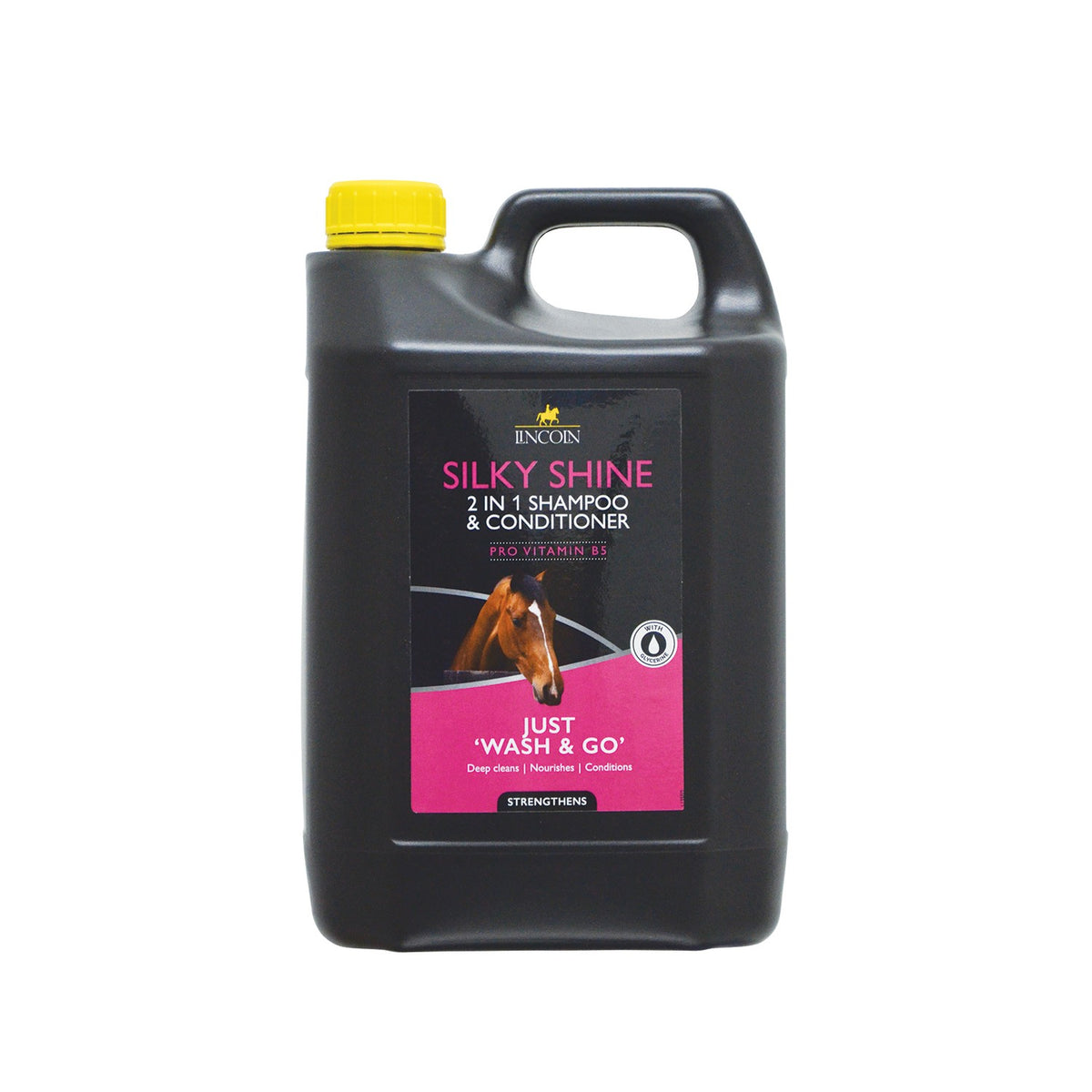 Lincoln Silky Shine 2 In 1 Shampoo & Conditioner - 4 Lt