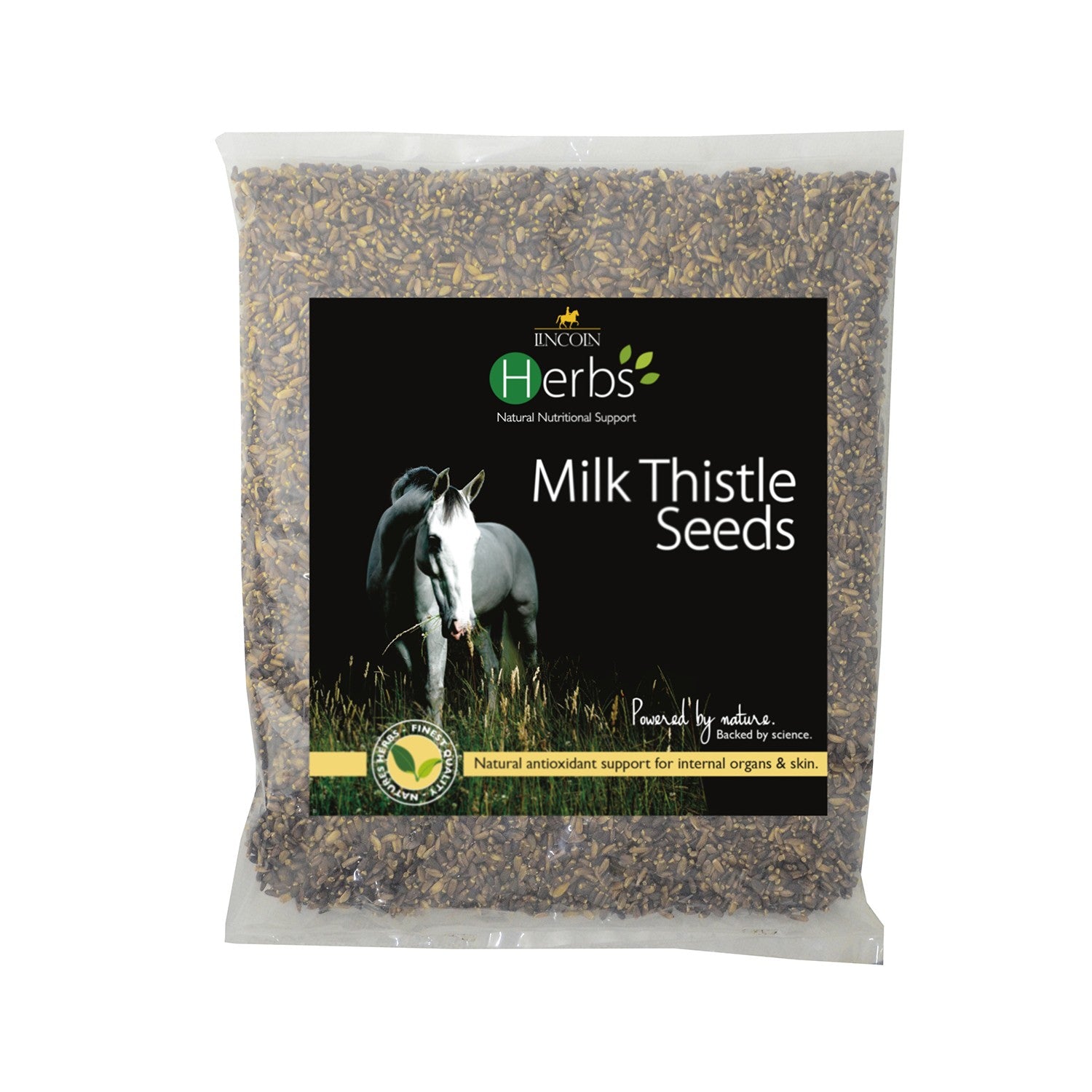 Lincoln Herbs Milk Thistle Seeds - 1kg Tub