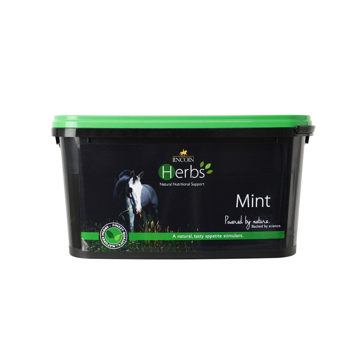 Lincoln Herbs Mint - 600g