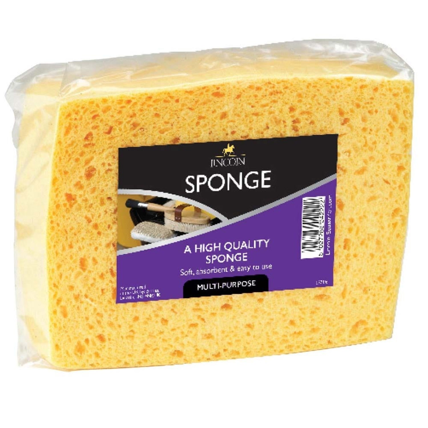 Lincoln Sponge - One Size
