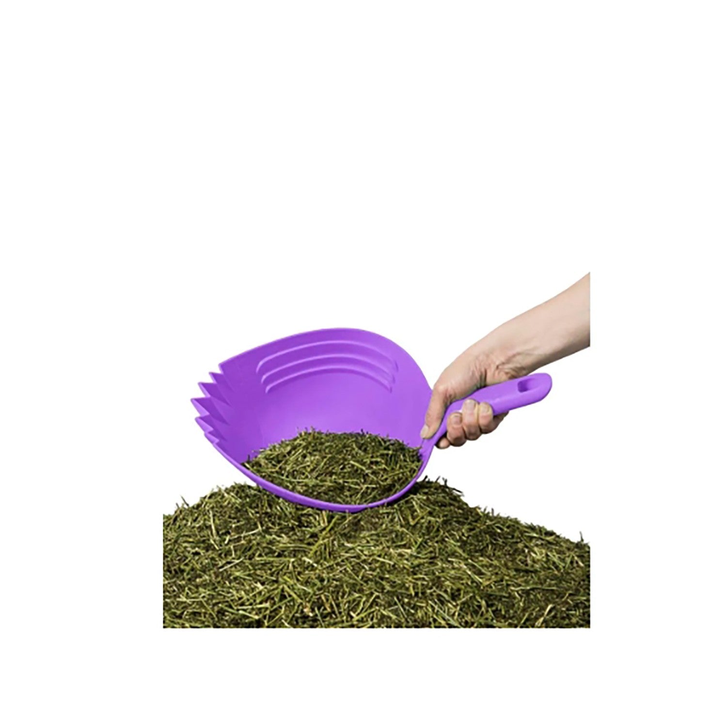 Parallax Shark Scoop Purple