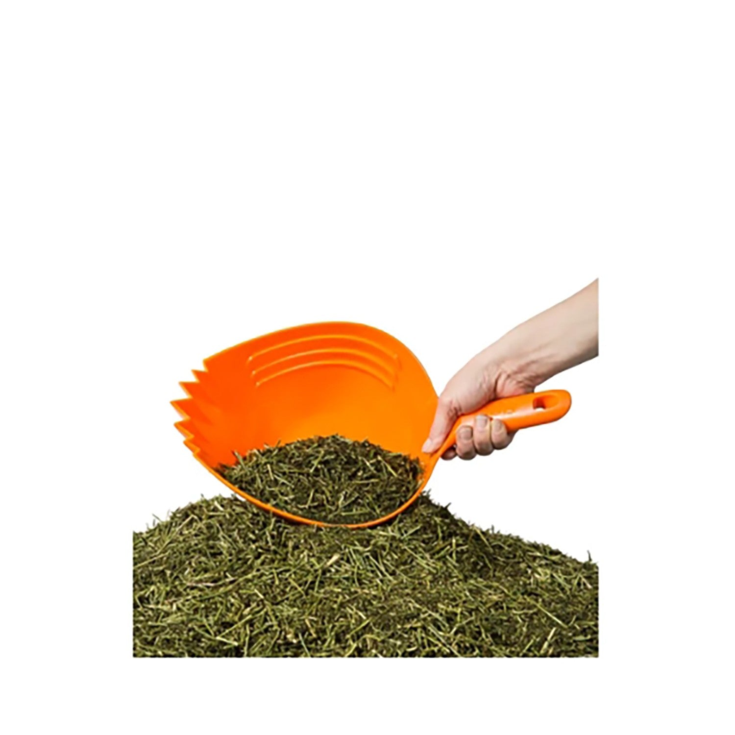 Parallax Shark Scoop Orange