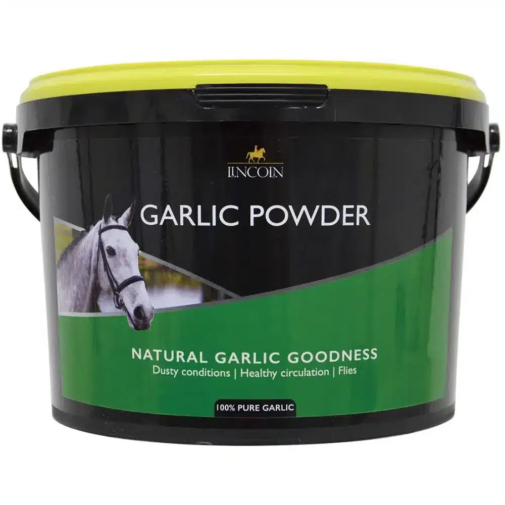 Lincoln Garlic Powder - 2 Kg