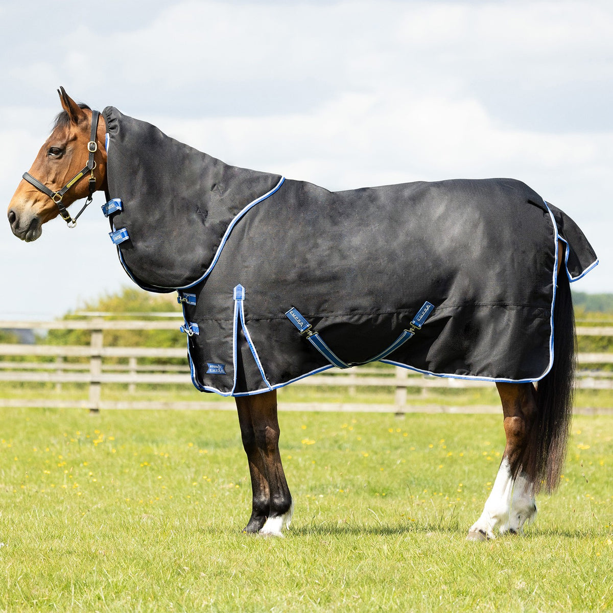 StormX Empra Extra 200g Turnout Rug with Detachable Neck