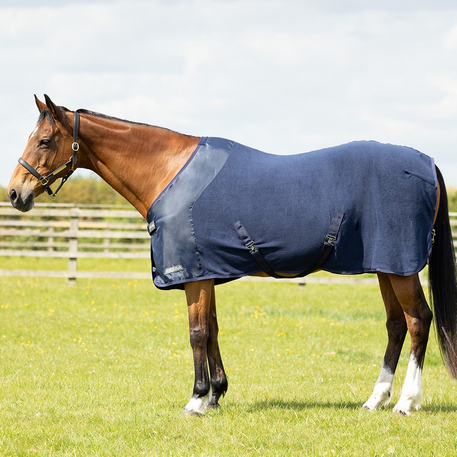 Stormx Empra Salient Cooler Fleece Rug Navy - 6' 9" - Navy - Fleece Rug