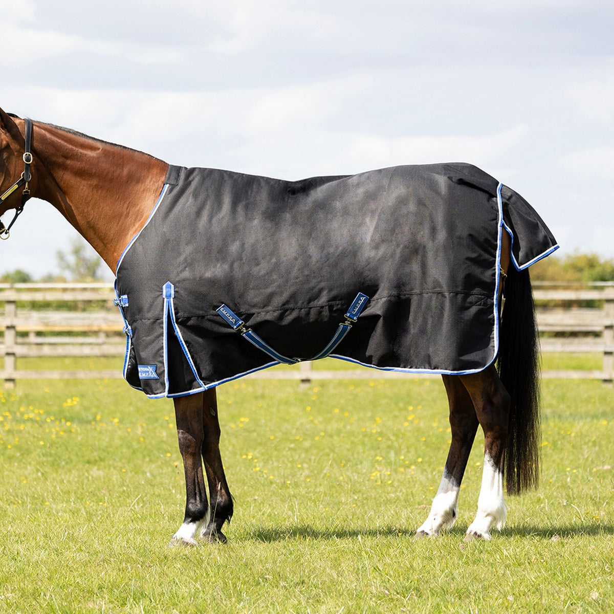 StormX Empra Extra 100g Turnout Rug