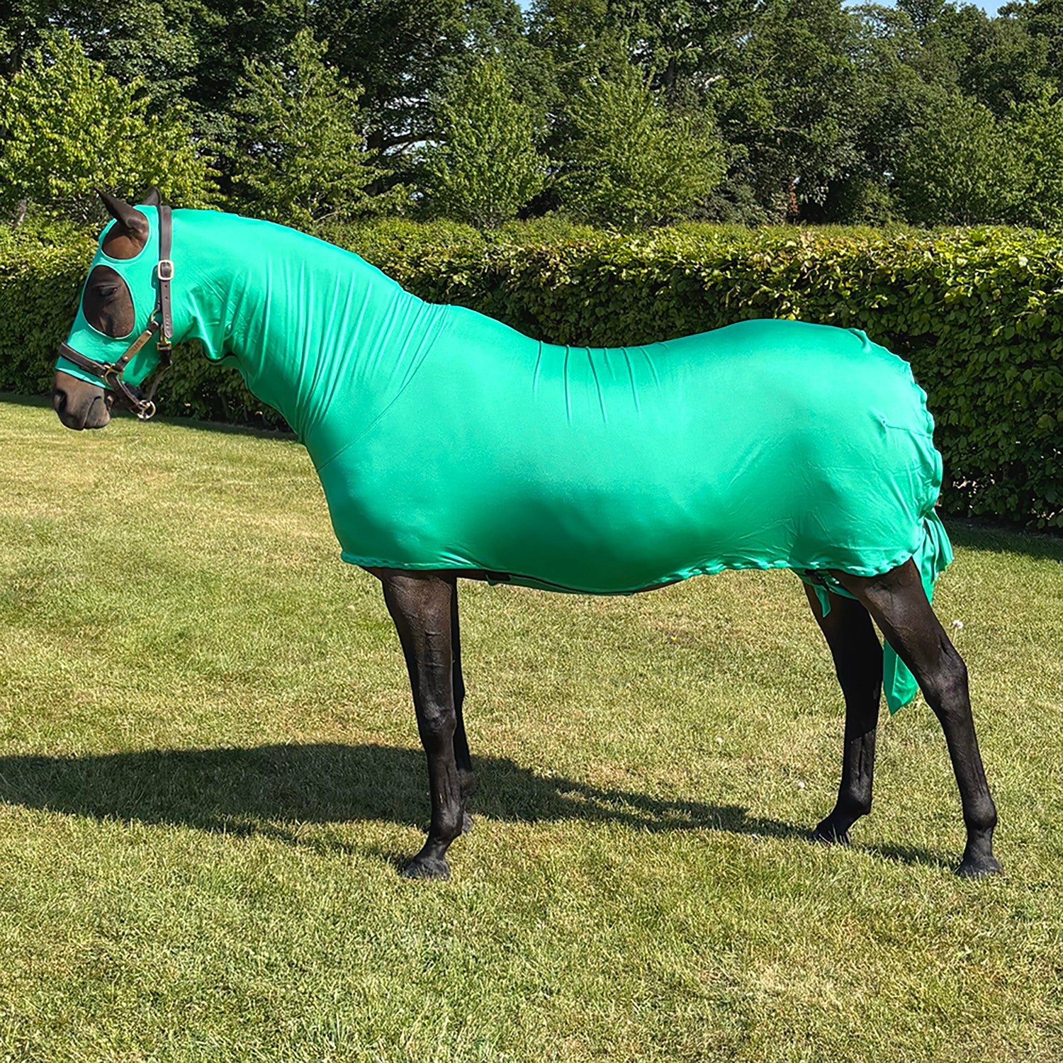 Supreme Products Body Wrap - Emerald