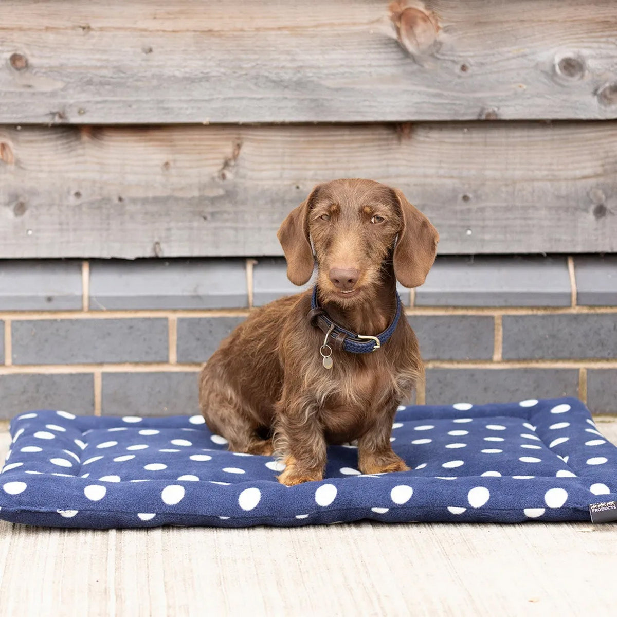 Dotty Fleece Dog Bed - Noble Navy Small