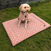 Dotty Fleece Dog Coat - Luxurious Latte XX Small