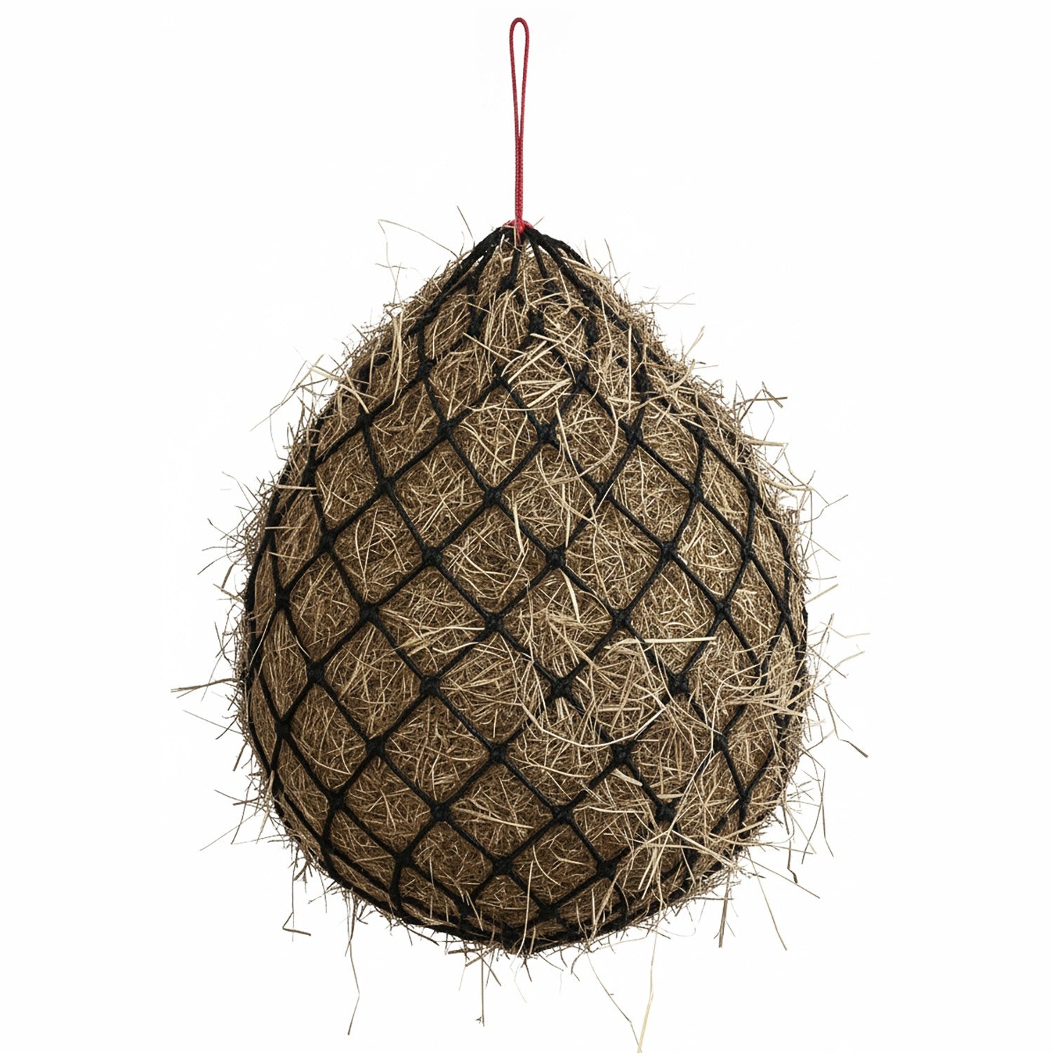 Whitaker Hn028 Haynet Black/Red - 40" - Black/Red