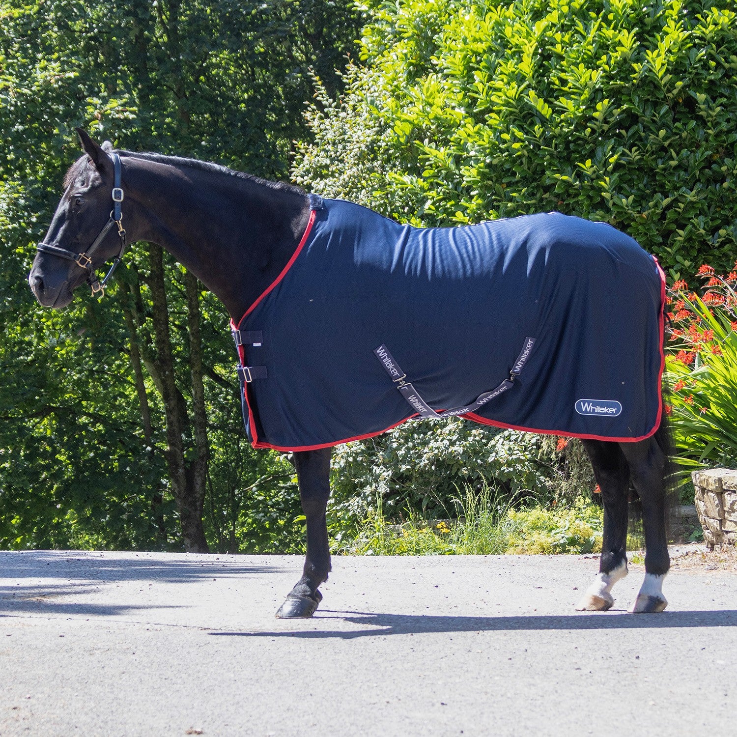 Whitaker R475 Rastrick V2 Cooler Rug Navy - 4' 9" - Navy - Cooler Rug