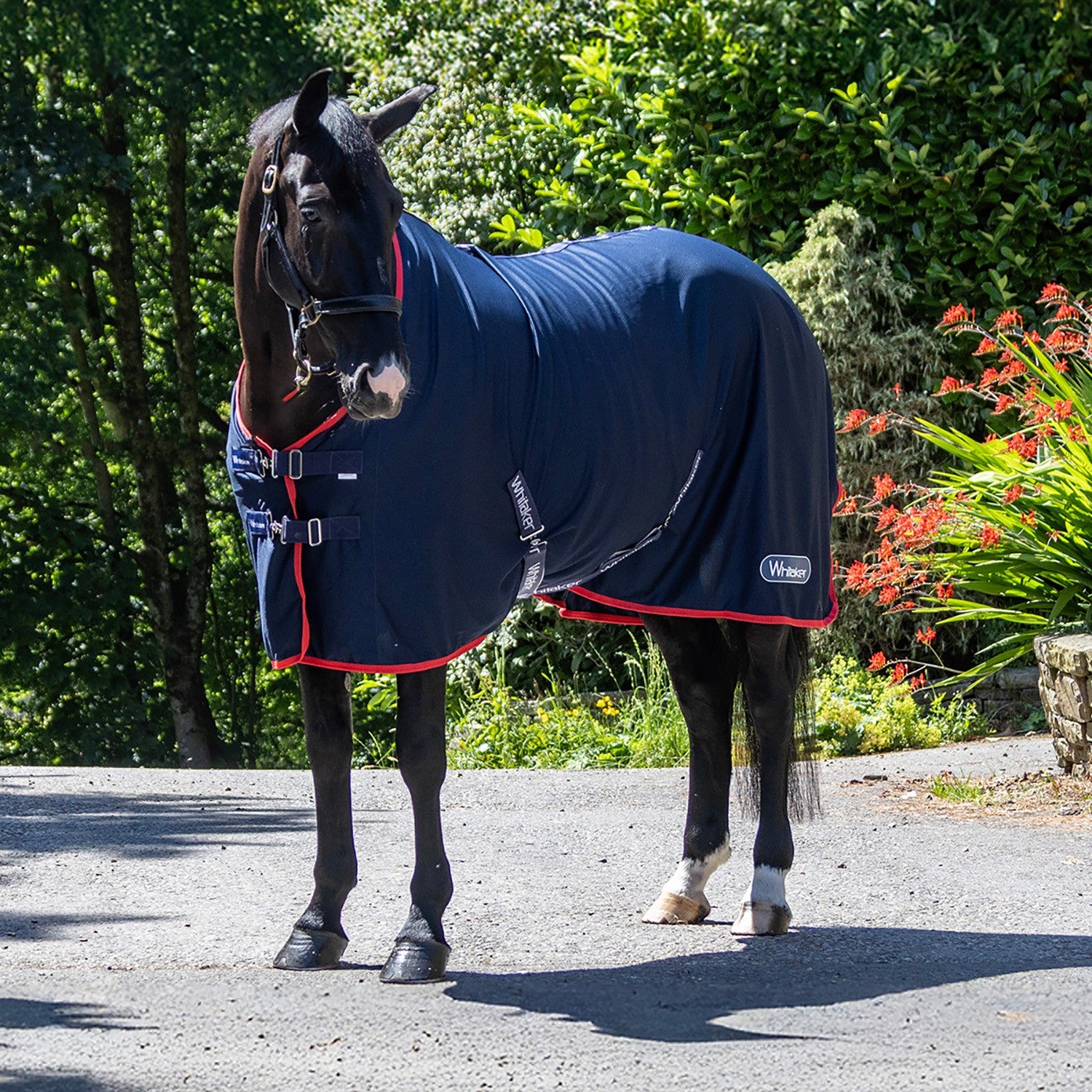 Whitaker R475 Rastrick V2 Cooler Rug Navy - 5' 0" - Navy - Cooler Rug