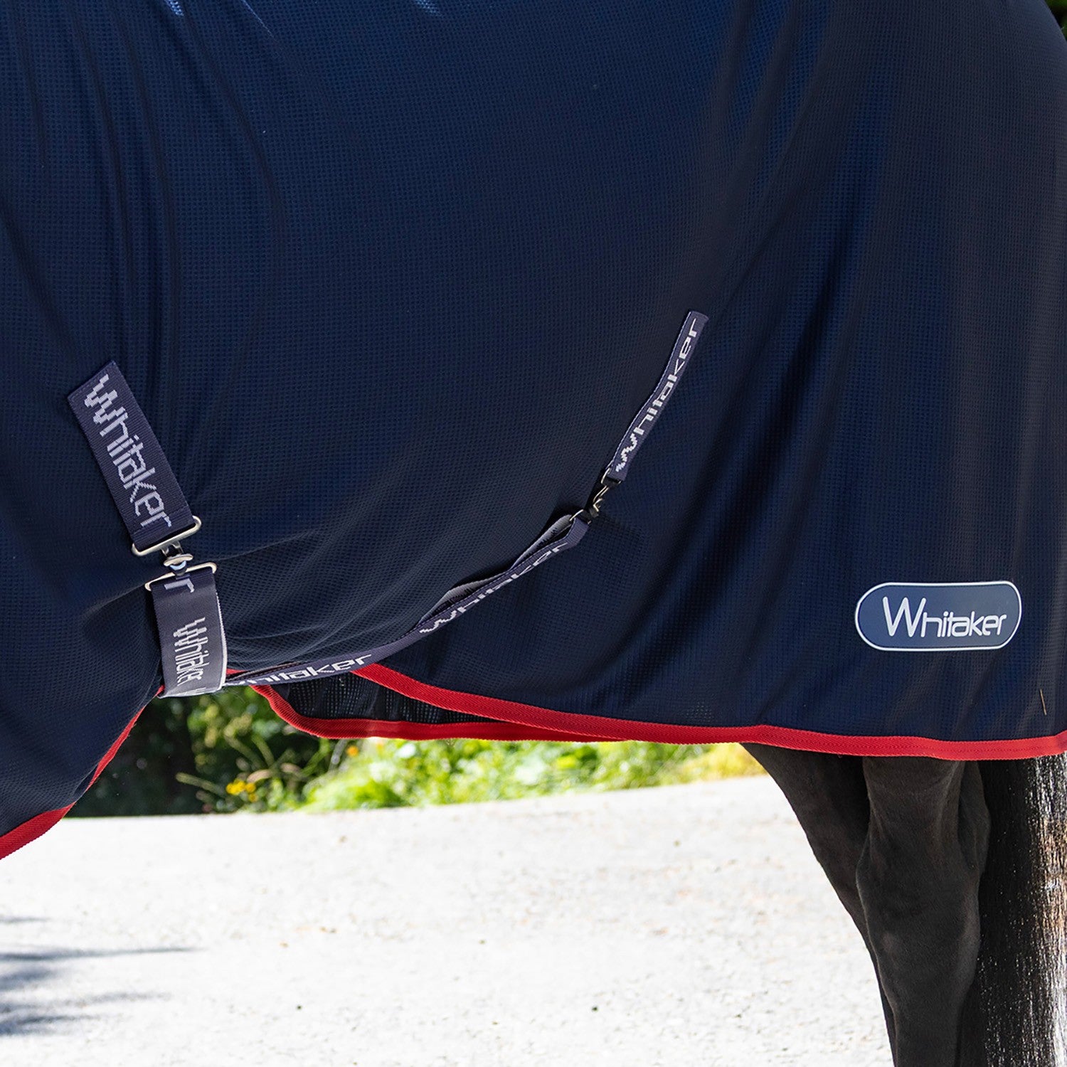 Whitaker R475 Rastrick V2 Cooler Rug Navy - 6' 0" - Navy - Cooler Rug