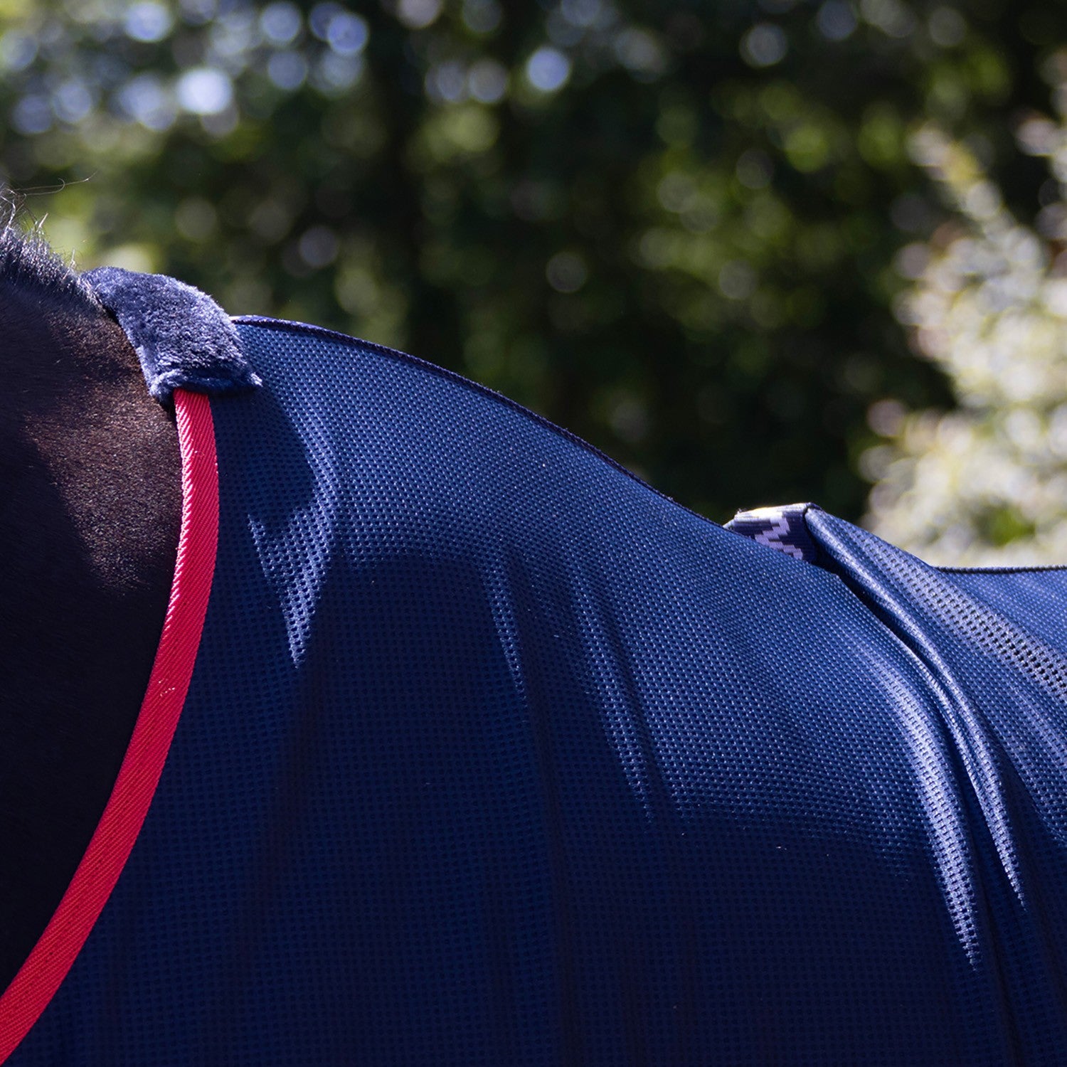 Whitaker R475 Rastrick V2 Cooler Rug Navy - 6' 9" - Navy - Cooler Rug