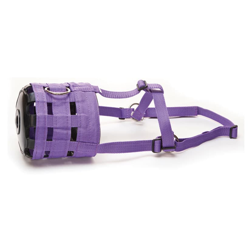 Hy Equestrian Muzzle image 1