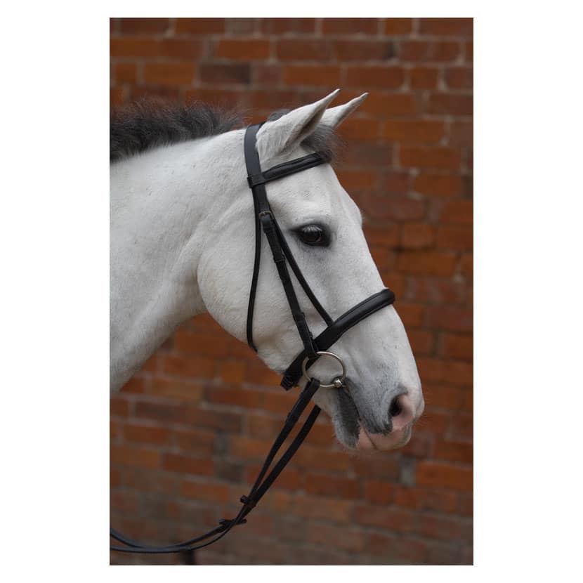 Hy Equestrian Padded Cavesson Bridle with Rubber Grip Reins image 0