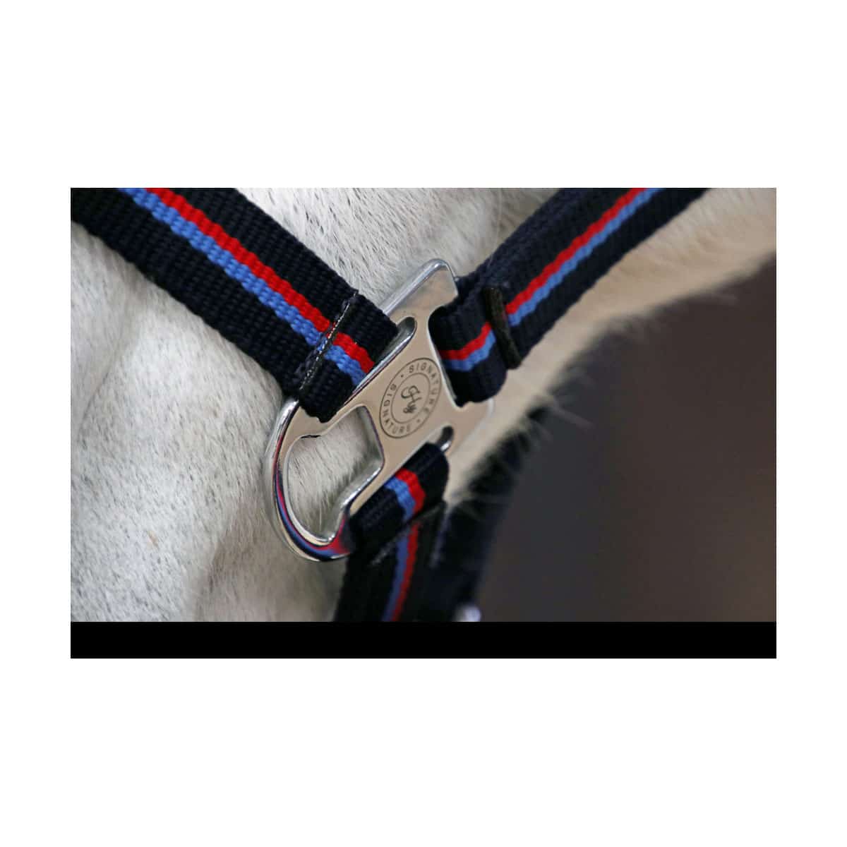 Hy Signature Head Collar & Lead Rope image 1