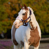 LeMieux Mini Vogue Headcollar & Leadrope - Juniper image 1