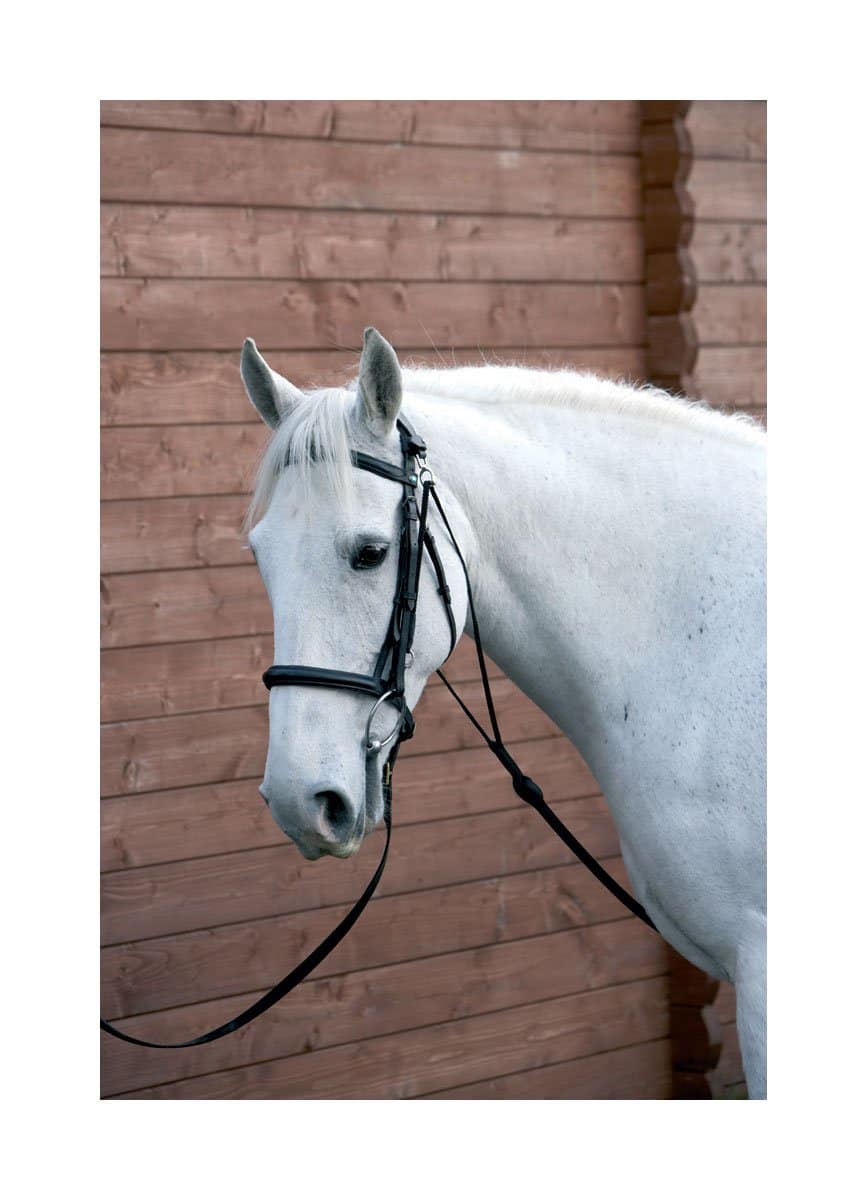 Hy Equestrian Chambon image 0