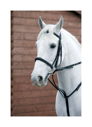 Hy Equestrian Market Harborough image 0