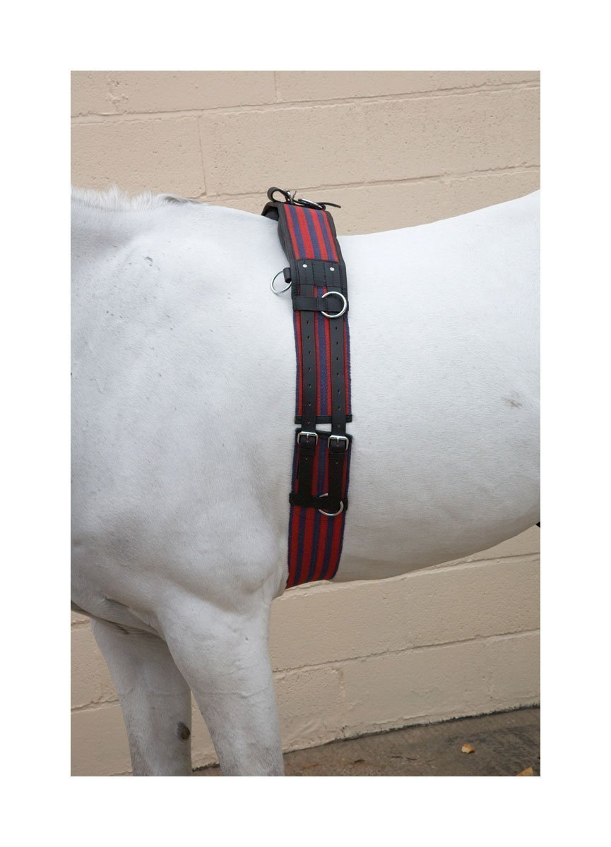 Hy Equestrian Training Roller image 0