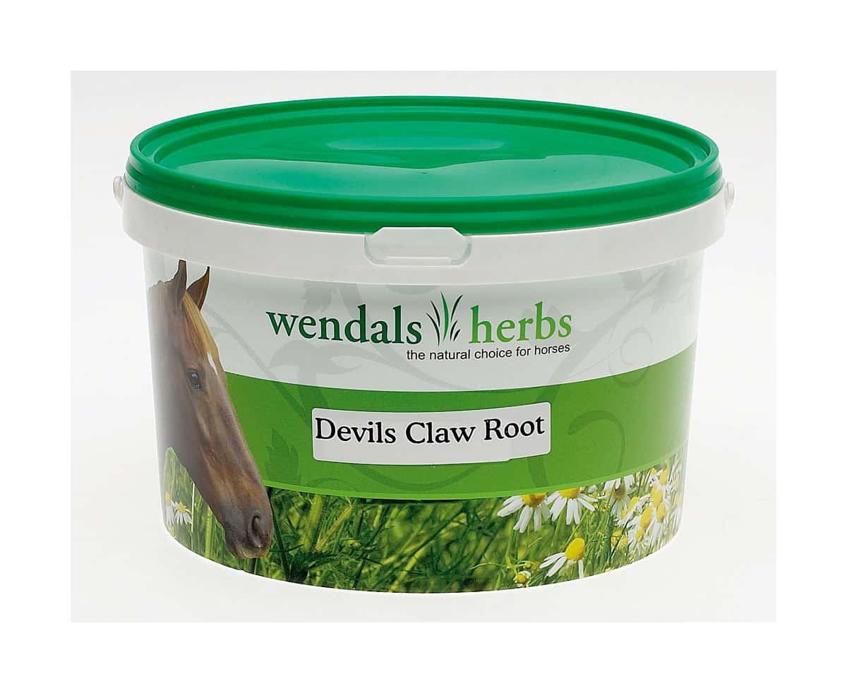 Wendals Devils Claw Root image 0