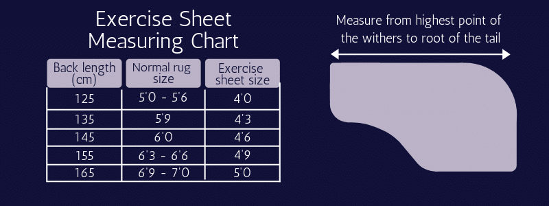 Hy Equestrian Reflector Exercise Sheet image 1