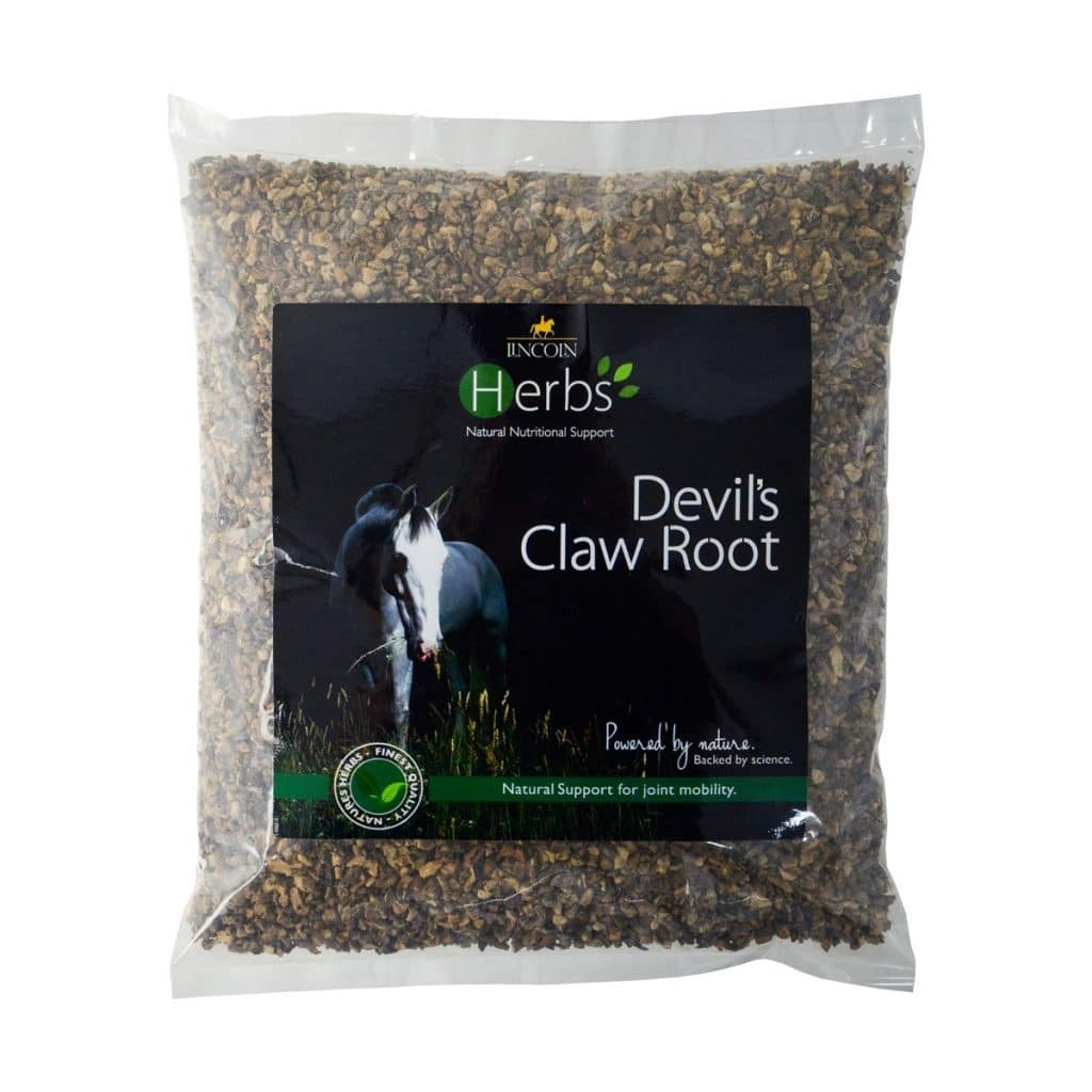 Lincoln Herbs Devil's Claw Root - 1kg image