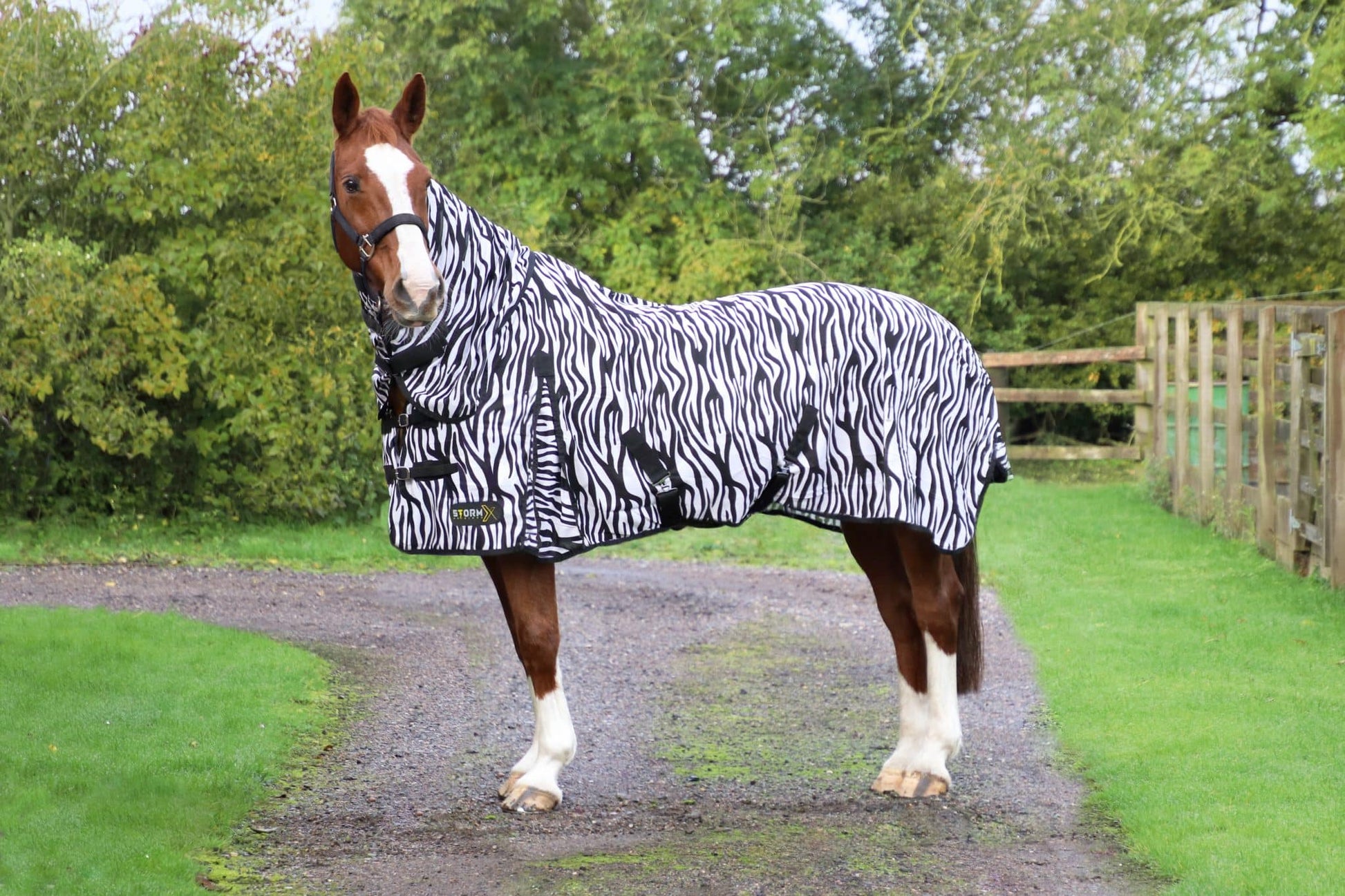 StormX Original Zebra Print Fly Rug image 0