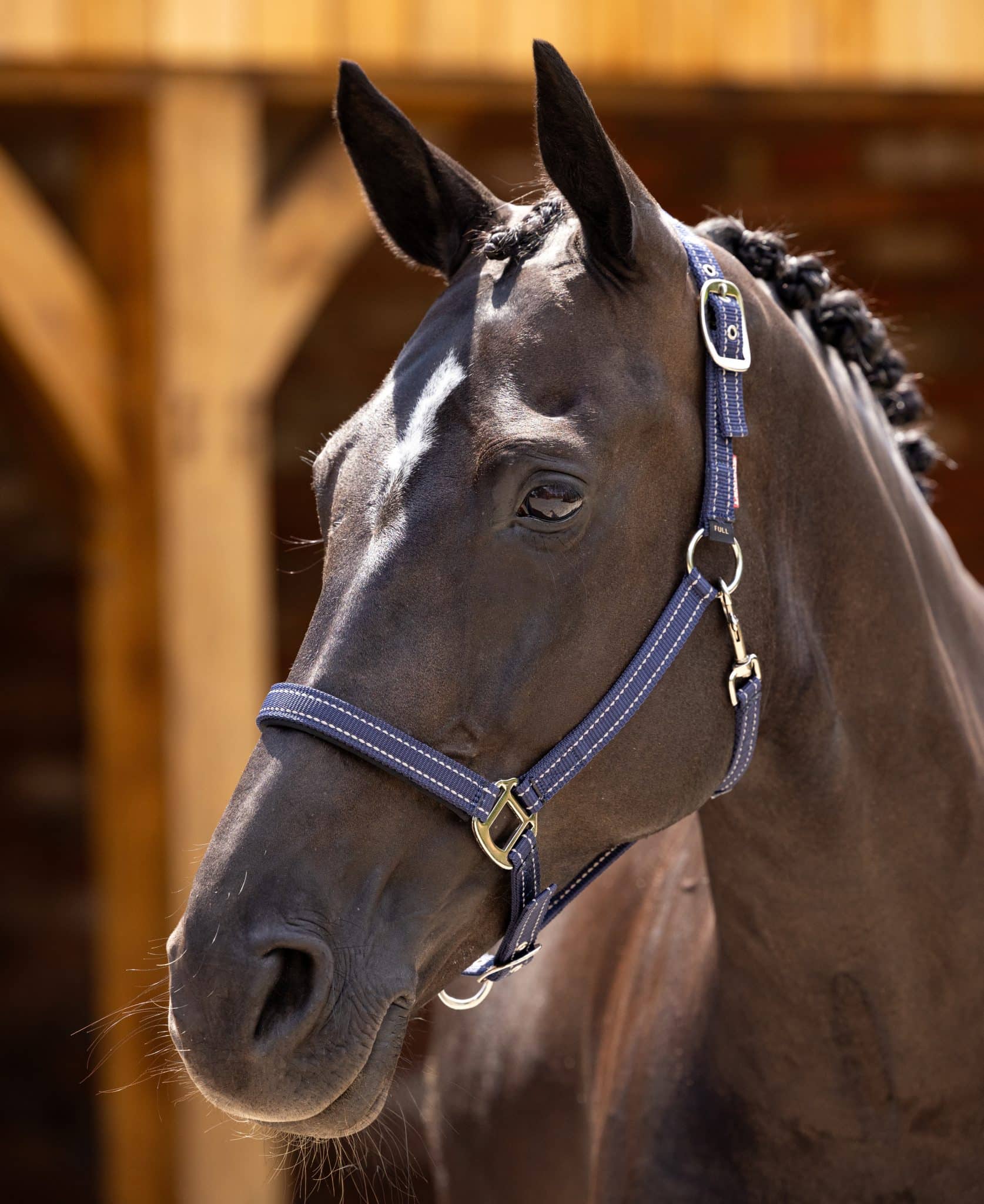 LeMieux Essential Yard Headcollar - Navy image 0