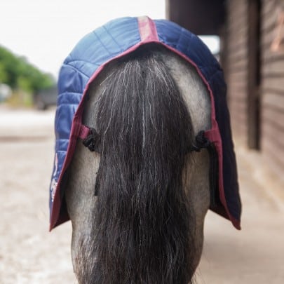 Gallop Ponie 50g Stable Rug image 3
