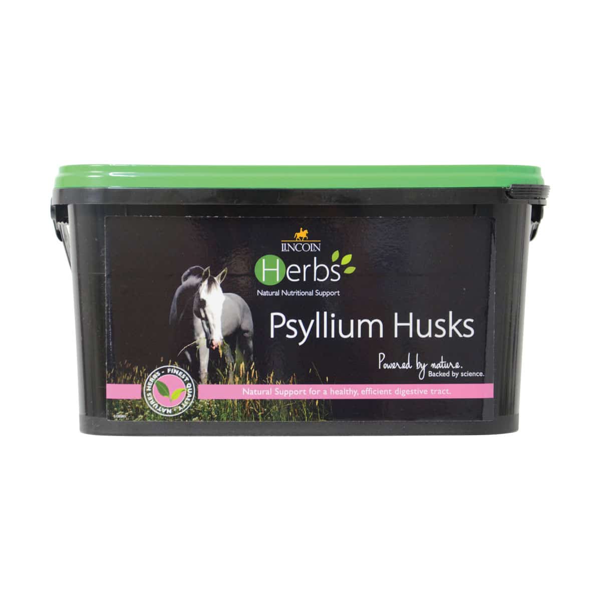 Lincoln Herbs Psyllium Husks image 0